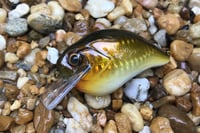 Image 1 of Custom Airbrushed S-CRANK 1.5 Squarebill Crankbait  804