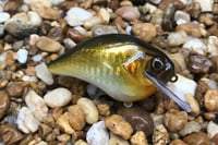 Image 2 of Custom Airbrushed S-CRANK 1.5 Squarebill Crankbait  804