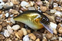 Image 6 of Custom Airbrushed S-CRANK 1.5 Squarebill Crankbait  804