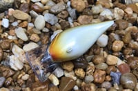 Image 4 of Custom Airbrushed S-CRANK 1.5 Squarebill Crankbait  804
