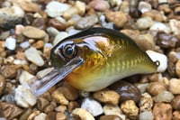 Image 3 of Custom Airbrushed S-CRANK 1.5 Squarebill Crankbait  804