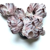 Image 6 of Ancien bloc de balanes sur socle en bois tourné fin XIXe  Objet de curiosités;: