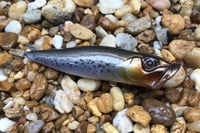 Image 1 of SPEEDBAITS Custom Airbrushed Topwater Popper 2484