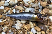 Image 2 of SPEEDBAITS Custom Airbrushed Topwater Popper 2484