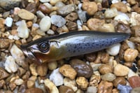 Image 4 of SPEEDBAITS Custom Airbrushed Topwater Popper 2484