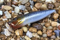 Image 5 of SPEEDBAITS Custom Airbrushed Topwater Popper 2484