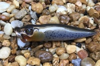 Image 6 of SPEEDBAITS Custom Airbrushed Topwater Popper 2484