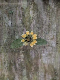 Image 2 of 5x7 Floating Wall Frame