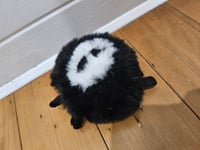 Image 1 of Old Stock - Skull Spider