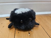 Image 2 of Old Stock - Skull Spider