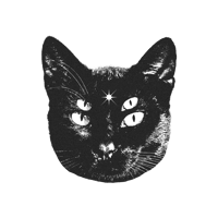 Image 3 of four-eyed cat 