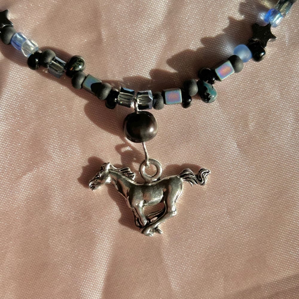 Image of evening galloping horse