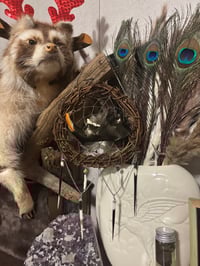 Image 4 of Soft Prey Wall Hanging