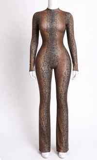 Two Tone Snakeskin Two Piece Set