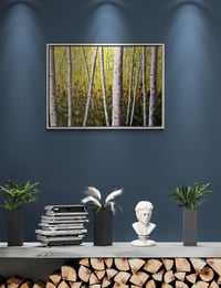 Image 9 of 'Bracken Woods' framed canvas
