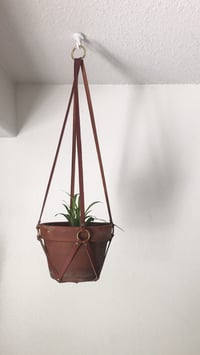 Plant Hanger