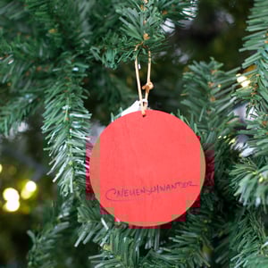 Image of Chris Noosh! Ornament 2