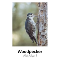 Image 2 of Photo Prints by Lakepointe Photography