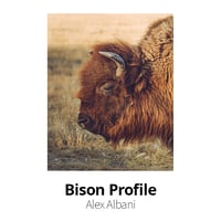 Image 1 of Photo Prints by Lakepointe Photography