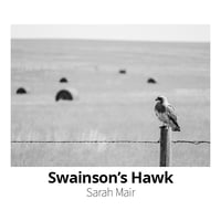 Image 4 of Photo Prints by Lakepointe Photography