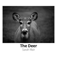 Image 5 of Photo Prints by Lakepointe Photography