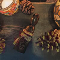 Image 6 of Irish Bog Yew Kindred Spirit (KS153)