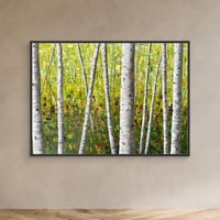 Image 7 of 'Bracken Woods' framed canvas