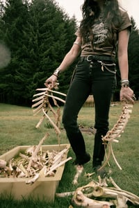 Image 7 of Rot Box Club 100% cotton unisex t