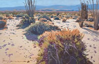 Ocotillo Trail, Borrego Springs, CA