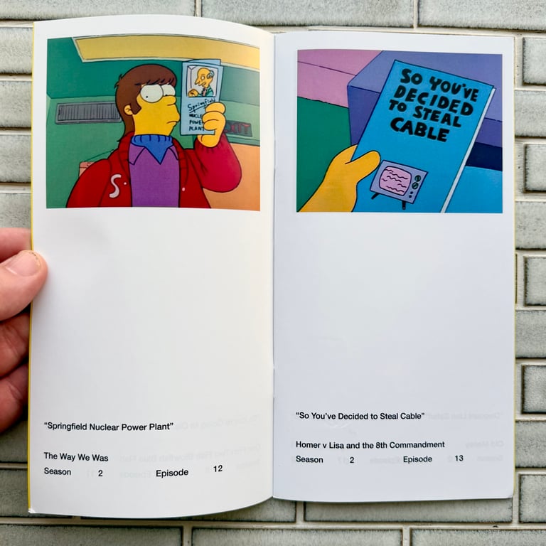 So You've Purchased A Simpsons Pamphlet Zine by Jonny Thaw Image 2