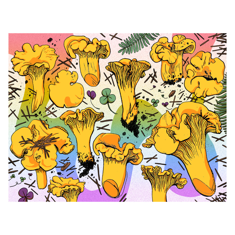 Image of Pacific Golden Chanterelle Print