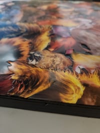 Image 3 of Break Down Chop Up