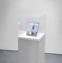 Book: INSTALLING A STATUE