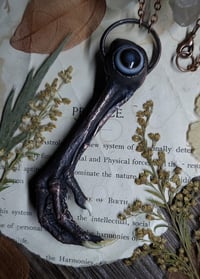Image 1 of Chicken Foot and Eye Agate Amulet