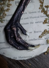 Image 2 of Chicken Foot and Eye Agate Amulet