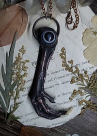 Image 3 of Chicken Foot and Eye Agate Amulet