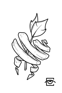 Image 2 of Untangled Cavity