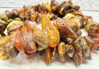 Image 5 of Antique 1910s Persian Trade Natural Raw Baltic Am ber Bead Necklace 166 Grams