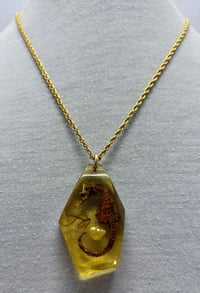 Image 1 of Vintage 1960s Art Deco Celluloid Seahorse Pendant/Necklace