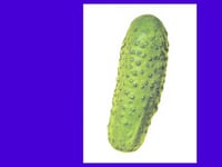 Image 2 of POSTKARTE Essiggurke