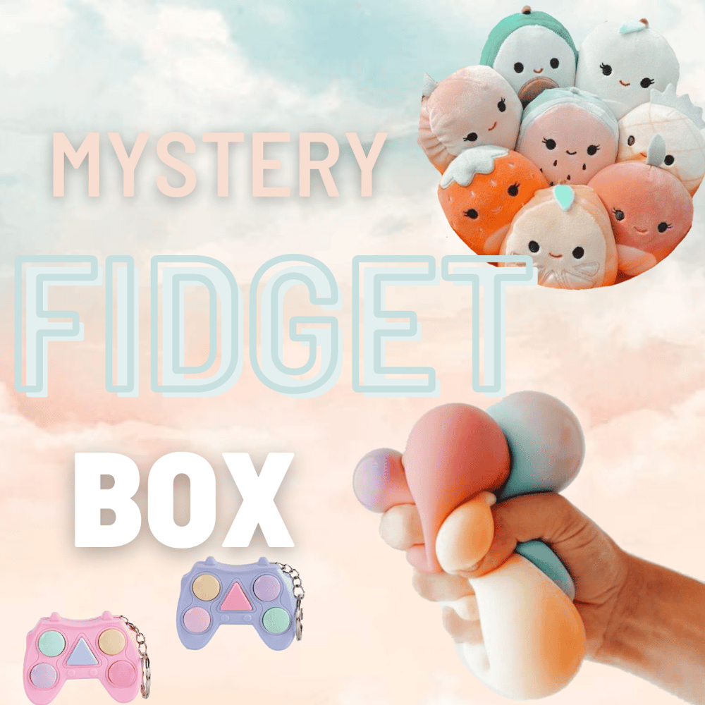 Image of Fidget Mystery Pack