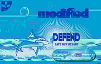 Image 3 of DEFEND COLECTION 2026 LIMITED EDITION