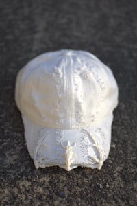 Image 3 of PALE FOSSIL