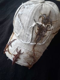 Image 5 of TERRALITH