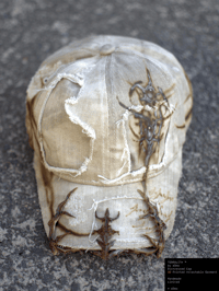 Image 1 of TERRALITH