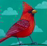 Image 1 of Little Cardinal 1