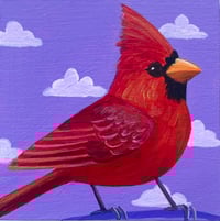 Image 1 of LIttle Cardinal 4