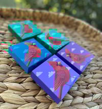 Image 2 of LIttle Cardinal 4