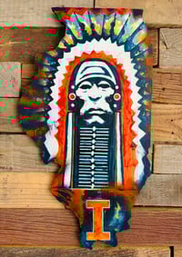 Image 7 of Illinois art