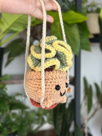 Image 2 of Pre-Order Pebbles: Swinging Crochet Succulent 